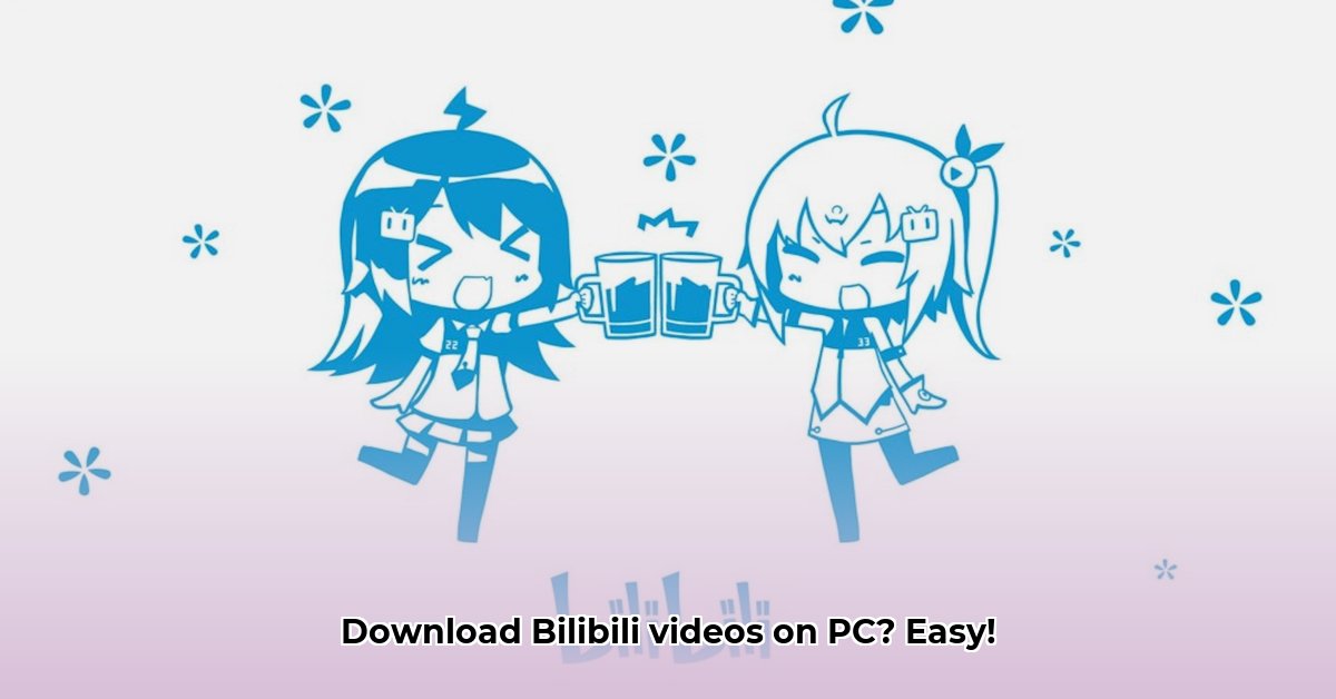 bilibili-download-pc